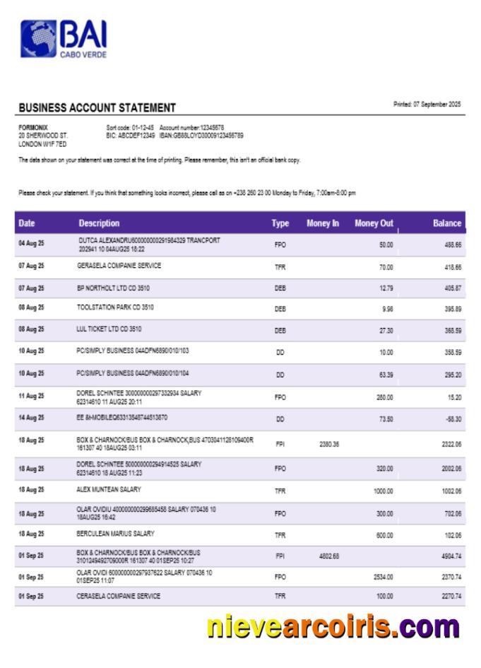 Banco Africano de Investimentos business bank statement